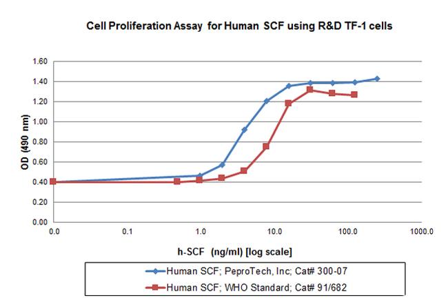 Scf Lab Human SCF Recombinant Protein (300-07-1MG)