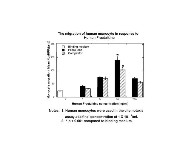 Human Fractalkine (CX3CL1) Protein in Bioactivity (Bioactivity)