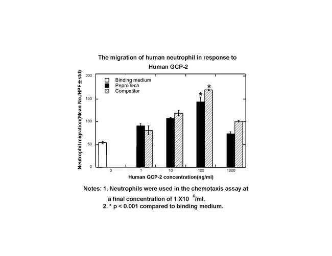 Human GCP-2 (CXCL6) Protein in Bioactivity (Bioactivity)