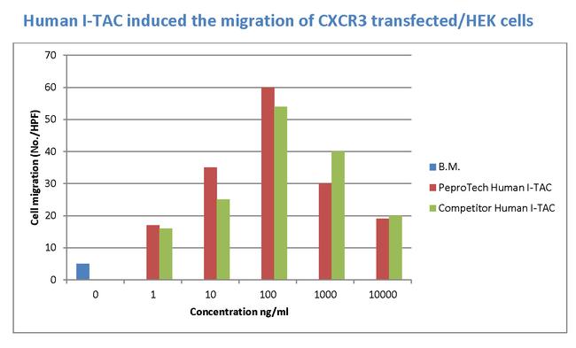 Human I-TAC (CXCL11) Protein in Bioactivity (Bioactivity)