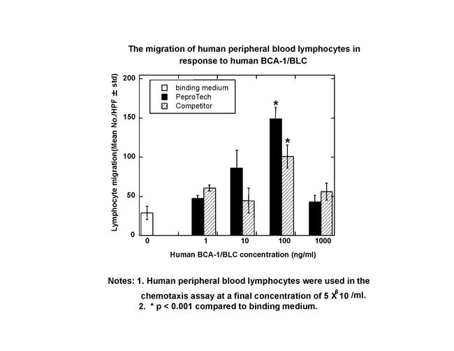 Human CXCL13 (BLC/BCA-1) Protein in Bioactivity (Bioactivity)