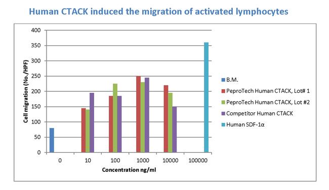 Human CTACK (CCL27) Protein in Bioactivity (Bioactivity)