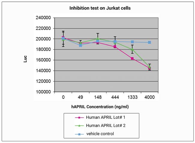Human APRIL Protein in Bioactivity (Bioactivity)