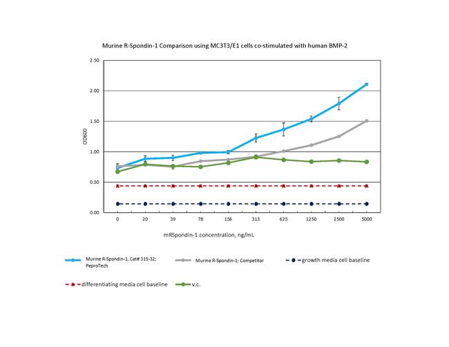 Mouse R-Spondin 1 Protein in Bioactivity (Bioactivity)