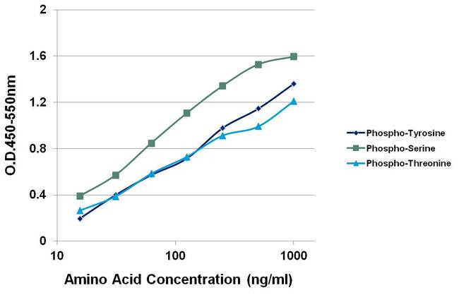 Goat IgG (H+L) Cross-Adsorbed Secondary Antibody in ELISA (ELISA)