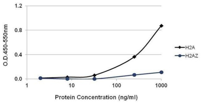 Mouse IgG, IgM (H+L) Secondary Antibody in ELISA (ELISA)