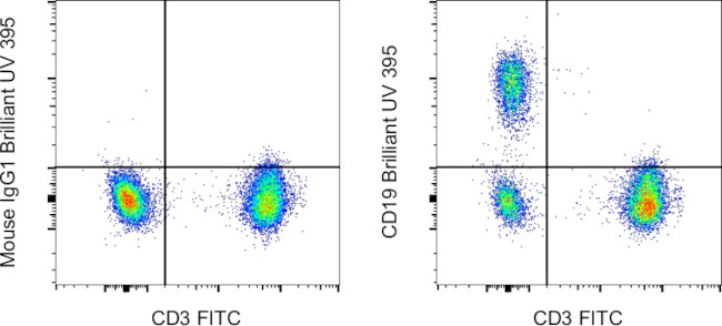 H19 Violet CD19 Monoclonal Antibody (HIB19), Brilliant Ultra Violet™ 395 (363-0199-42)