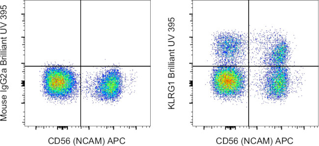 KLRG1 Antibody in Flow Cytometry (Flow)