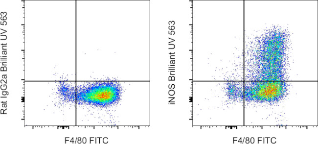 Perry Inos iNOS Monoclonal Antibody (CXNFT), Brilliant Ultra Violet™ 563 (365-5920-82)
