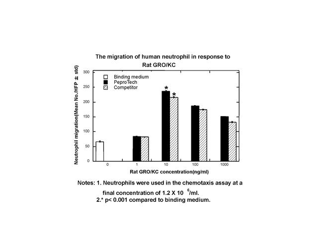 Rat CXCL1 (GRO alpha) Protein in Bioactivity (Bioactivity)