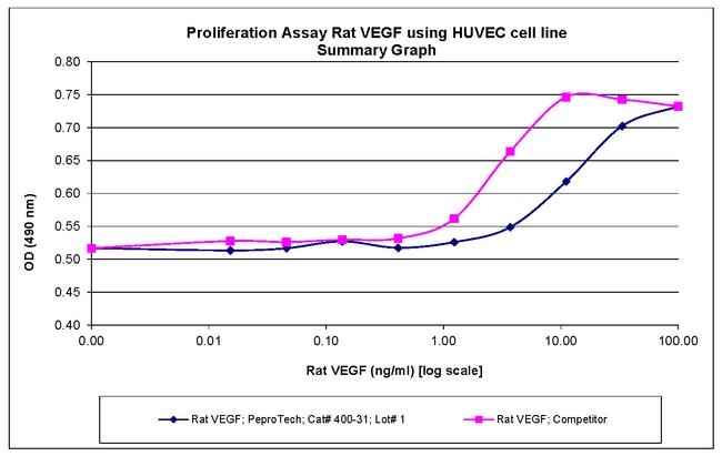 Rat VEGF-165 Protein in Bioactivity (Bioactivity)