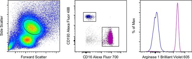 Arginase 1 Antibody in Flow Cytometry (Flow)