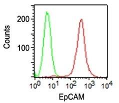 Ep-CAM/CD326 (Extracellular Domain) (Epithelial Marker) Antibody in Immunocytochemistry (ICC/IF)