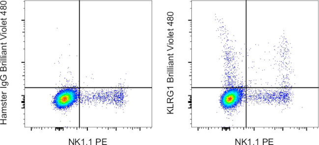 KLRG1 Antibody in Flow Cytometry (Flow)