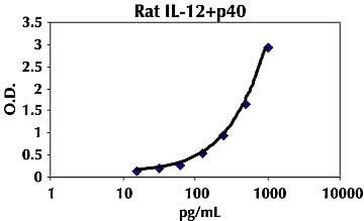Rat IL-12 p40 ELISA Kit