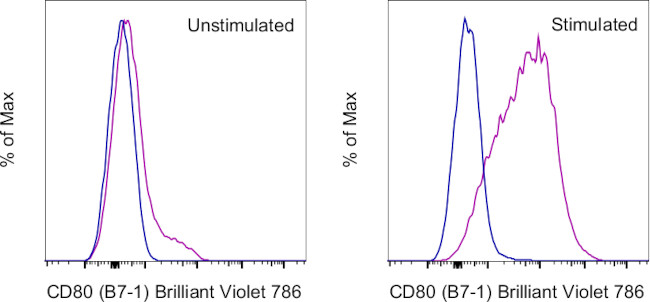 CD80 (B7-1) Antibody in Flow Cytometry (Flow)