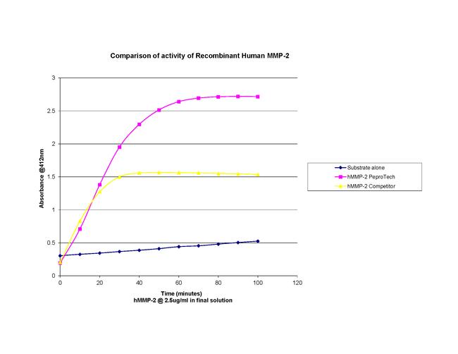 Human MMP-2 Protein in Bioactivity (Bioactivity)