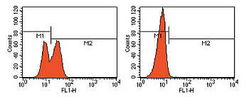 PARP (Cleaved Asp214, Asp215) Antibody in Flow Cytometry (Flow)