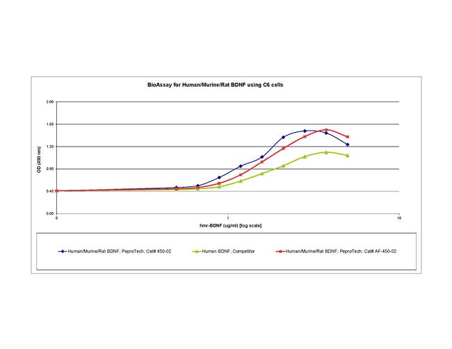 Human/Mouse/Rat BDNF Protein in Bioactivity (Bioactivity)