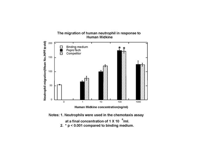 Human Midkine (MK) Protein in Bioactivity (Bioactivity)