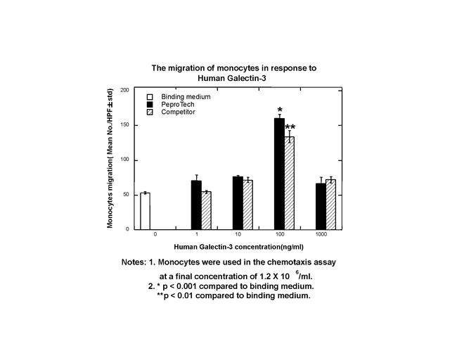 Human Galectin-3 Protein in Bioactivity (Bioactivity)