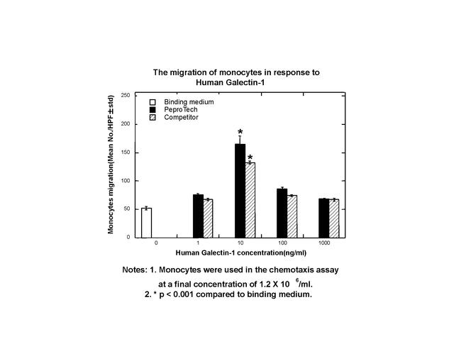 Human Galectin-1 Protein in Bioactivity (Bioactivity)