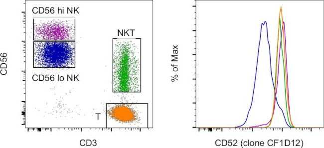 CD52 Monoclonal Antibody (CF1D12), Super Bright™ 702 (67-0529-42)