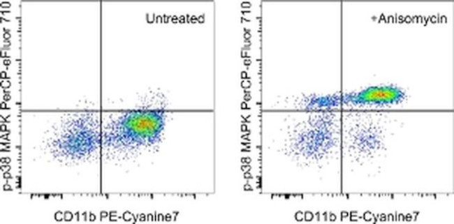 Phospho-p38 MAPK (Thr180, Tyr182) Antibody in Flow Cytometry (Flow)