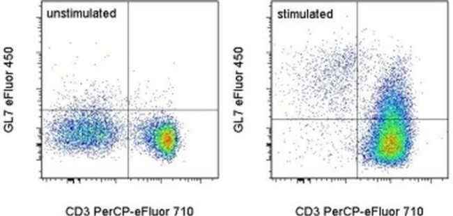 Flow Gl7 GL7 Monoclonal Antibody (GL-7 (GL7)), eFluor™ 450, eBioscience ...