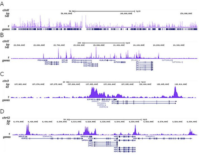 HDAC1 Antibody in ChIP-Sequencing (ChIP-seq)