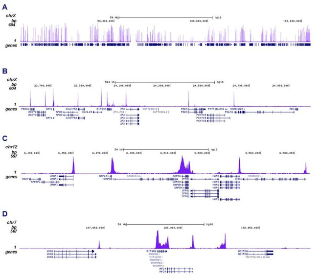 RNA pol II CTD Antibody in ChIP-Sequencing (ChIP-seq)