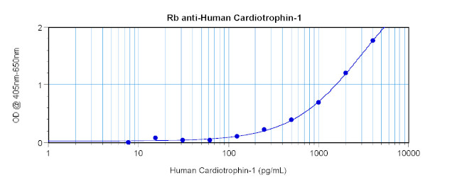 Cardiotrophin 1 Antibody in ELISA (ELISA)