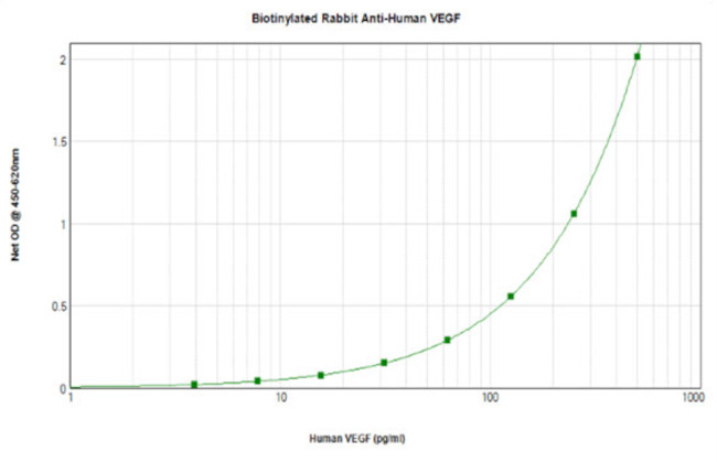 VEGF-165 Antibody in ELISA (ELISA)