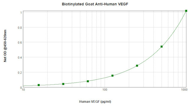 VEGF-165 Antibody in ELISA (ELISA)