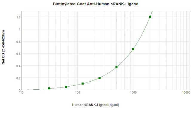 RANKL (soluble) Antibody in ELISA (ELISA)