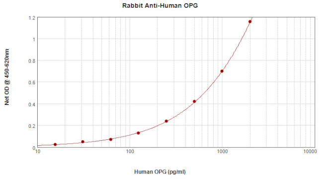 TNFRSF11B Antibody in ELISA (ELISA)