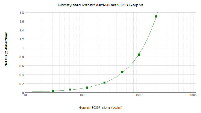 CLEC11A Antibody in ELISA (ELISA)