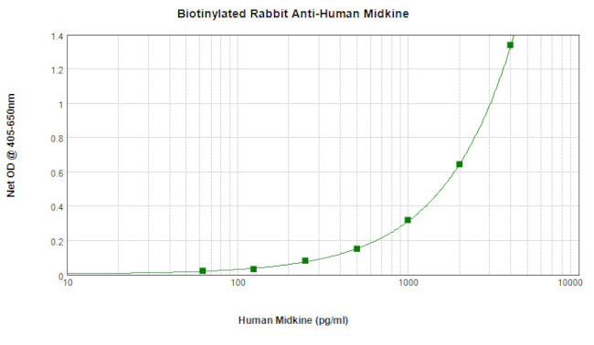 Midkine Antibody in ELISA (ELISA)