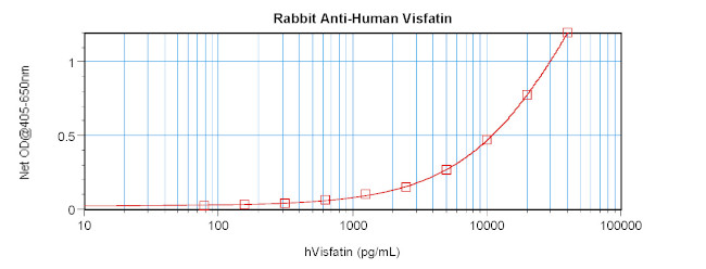 NAMPT Antibody in ELISA (ELISA)