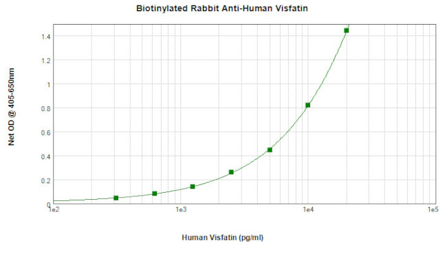 NAMPT Antibody in ELISA (ELISA)