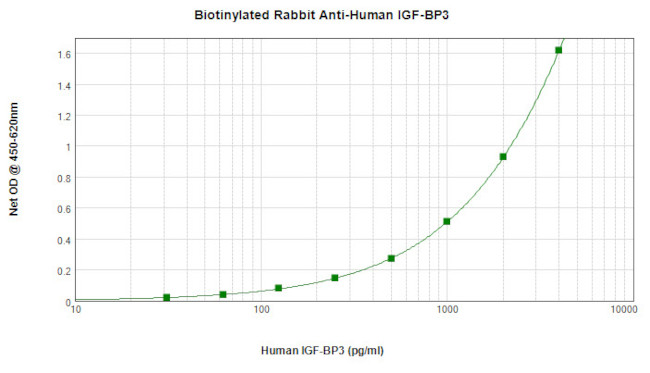 IGFBP3 Antibody in ELISA (ELISA)
