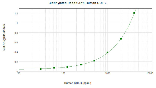 GDF3 Antibody in ELISA (ELISA)