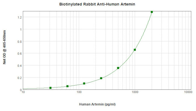 Artemin Antibody in ELISA (ELISA)