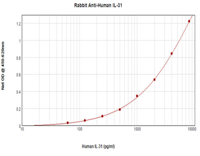 IL-31 Antibody in ELISA (ELISA)