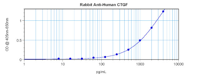 CTGF Antibody in ELISA (ELISA)