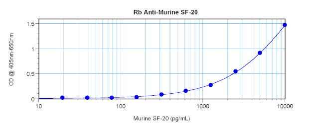 C19orf10 Antibody in ELISA (ELISA)