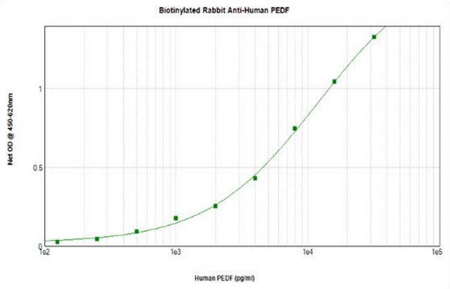 PEDF Antibody in ELISA (ELISA)