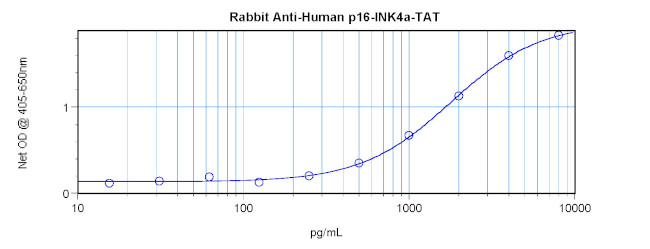 p16INK4a-TAT Antibody in ELISA (ELISA)