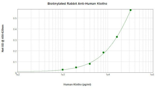 Klotho Antibody in ELISA (ELISA)