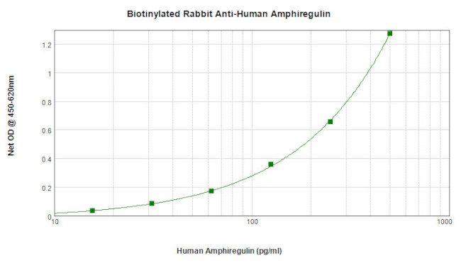 Amphiregulin Antibody in ELISA (ELISA)